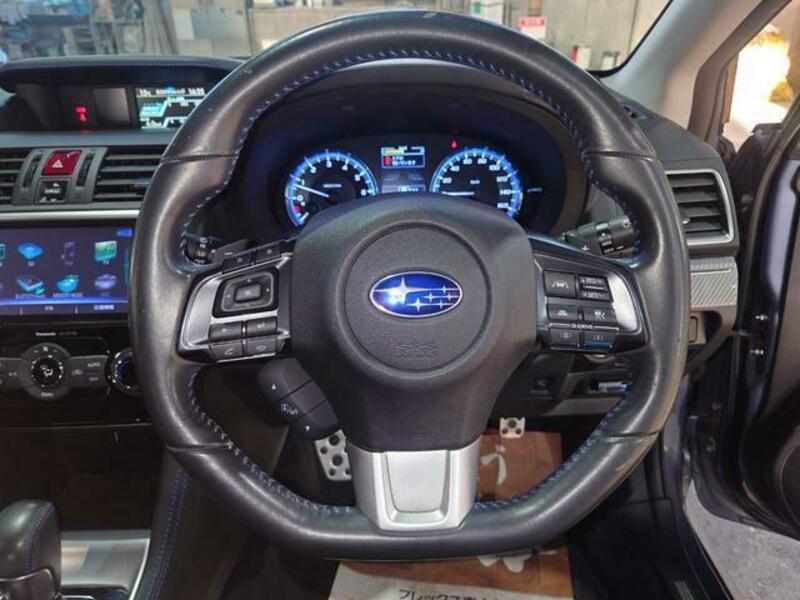 LEVORG