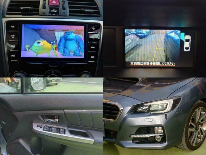 LEVORG