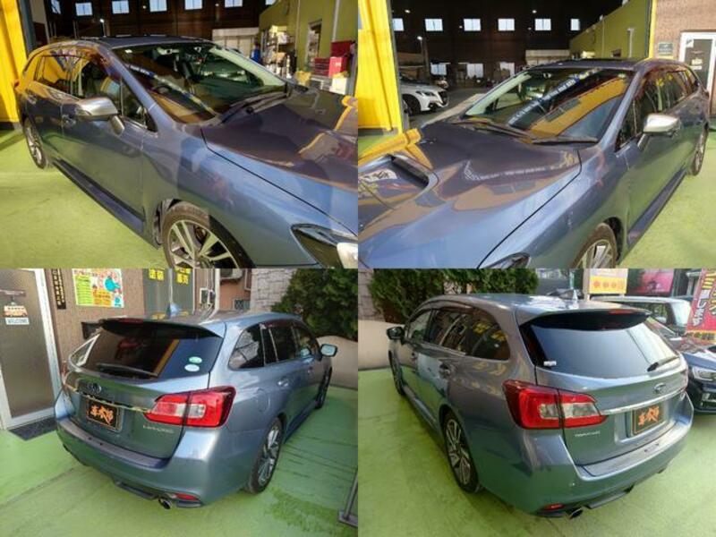 LEVORG