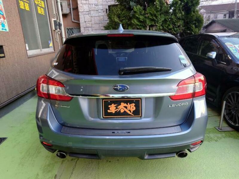 LEVORG