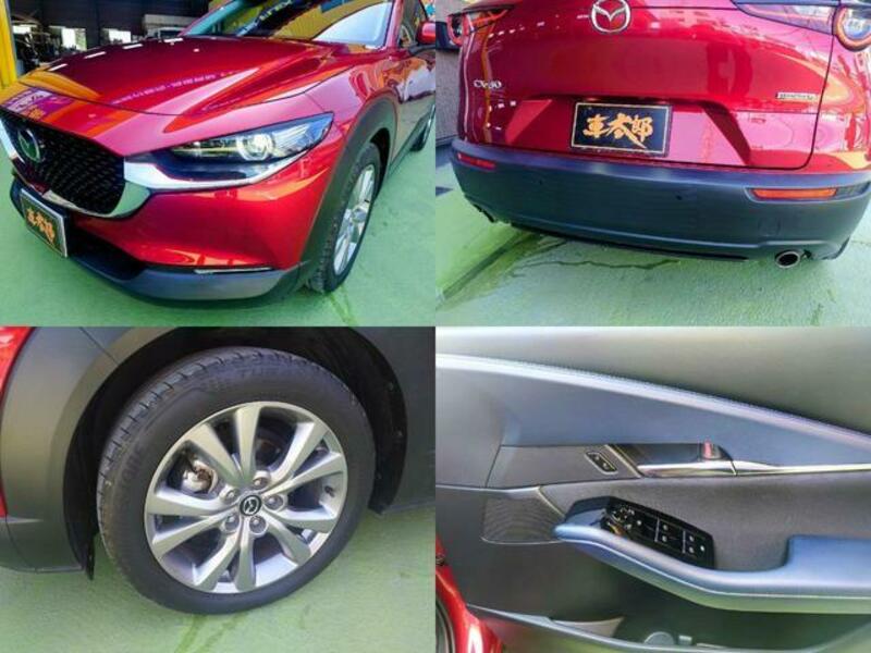 CX-30