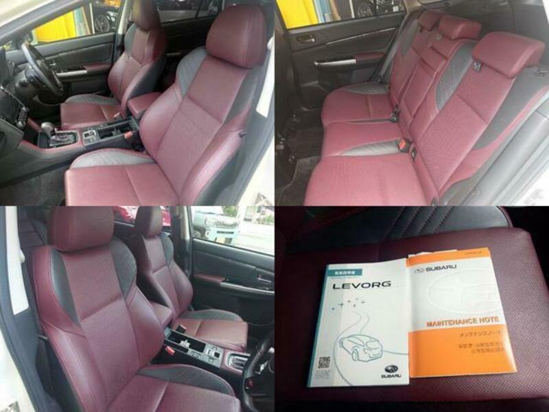 LEVORG