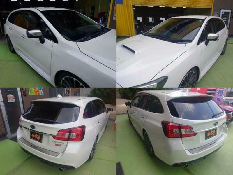 LEVORG