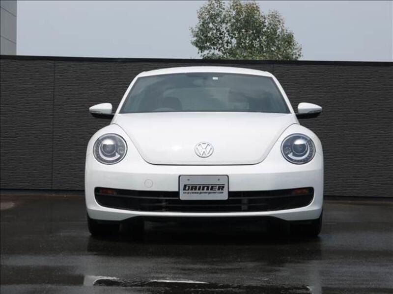 THE BEETLE