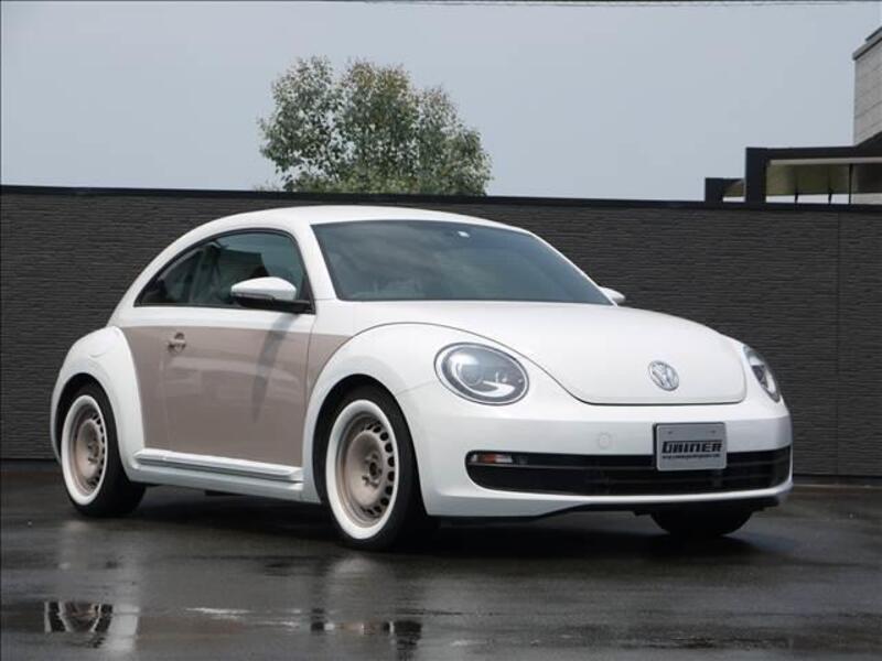 THE BEETLE