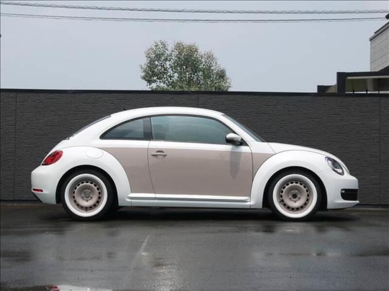 THE BEETLE