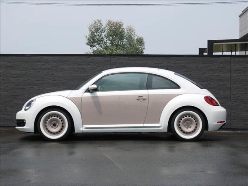 THE BEETLE
