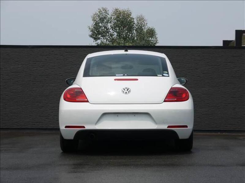THE BEETLE