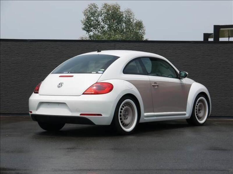 THE BEETLE