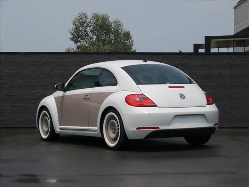 THE BEETLE