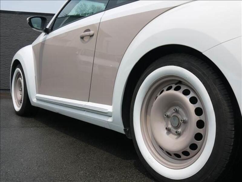 THE BEETLE