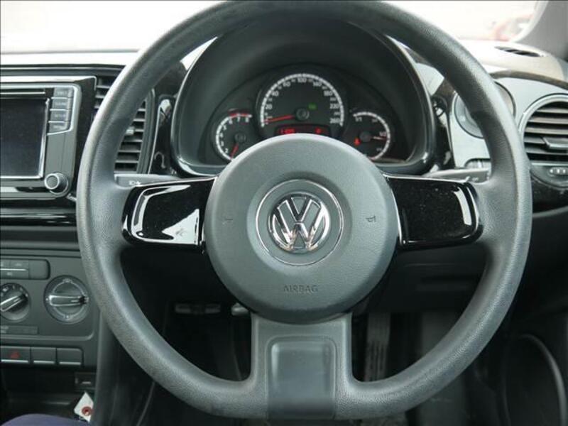 THE BEETLE