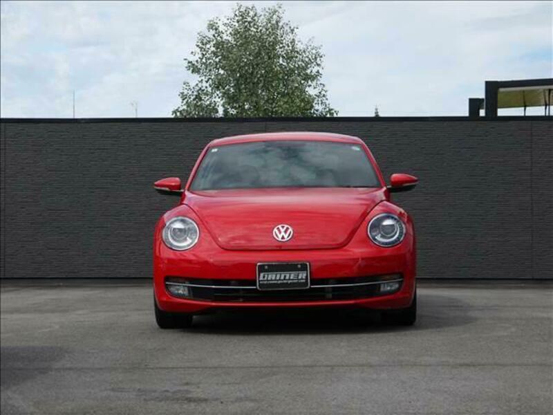 THE BEETLE