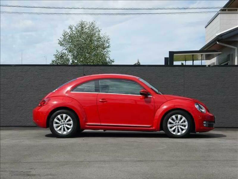 THE BEETLE
