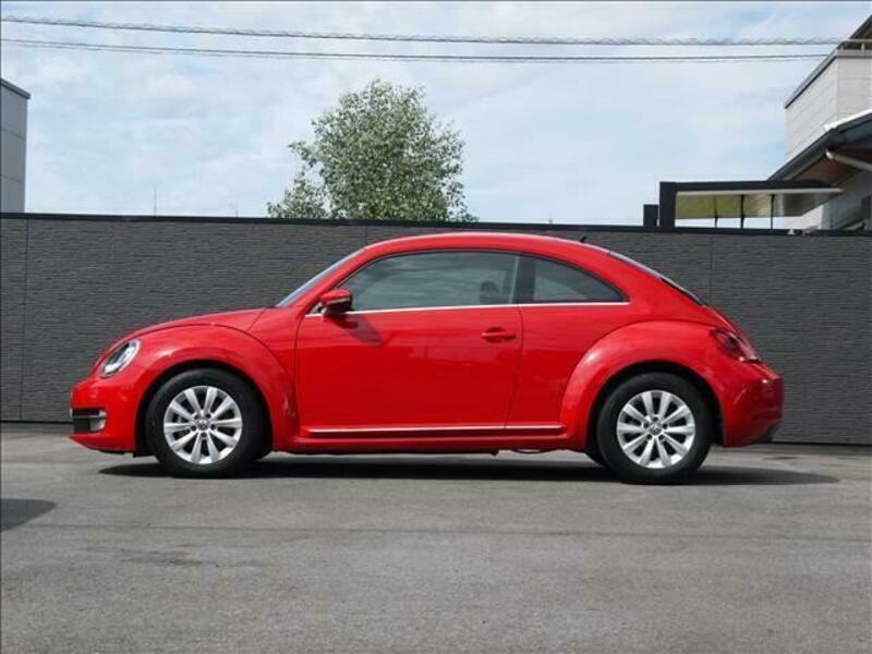 THE BEETLE