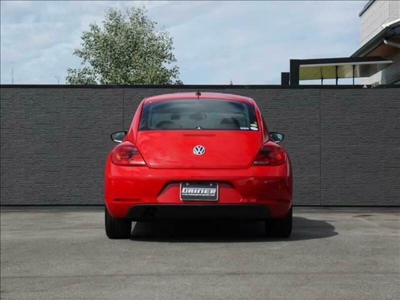 THE BEETLE