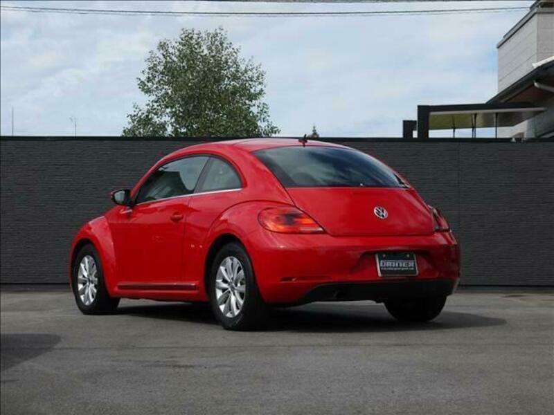 THE BEETLE