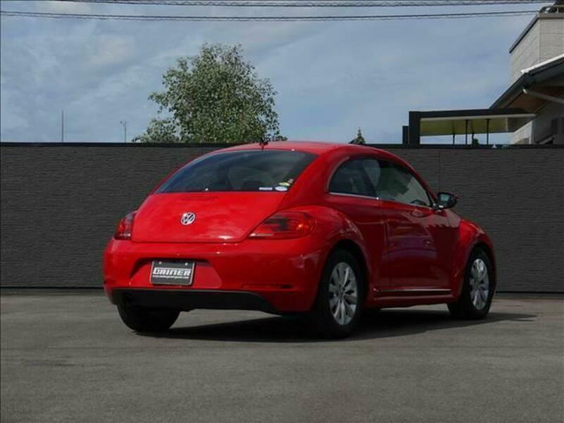 THE BEETLE