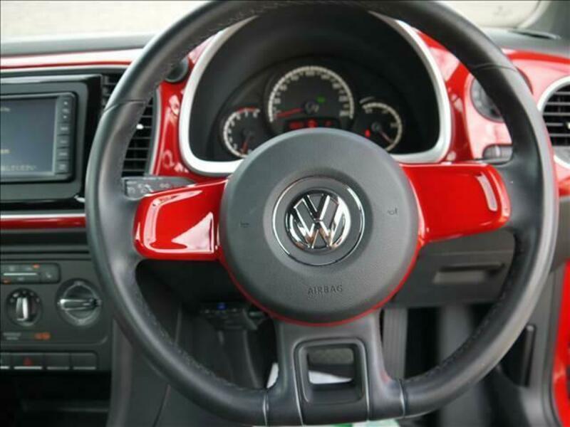 THE BEETLE