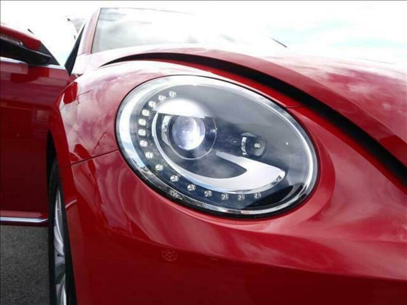 THE BEETLE