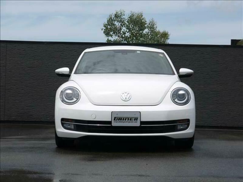 THE BEETLE