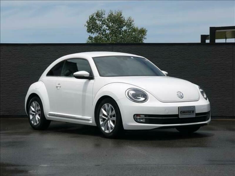 THE BEETLE