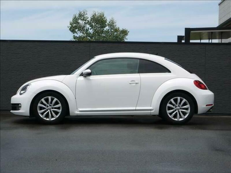 THE BEETLE