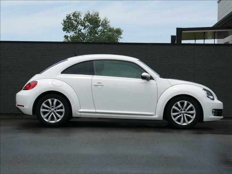 THE BEETLE