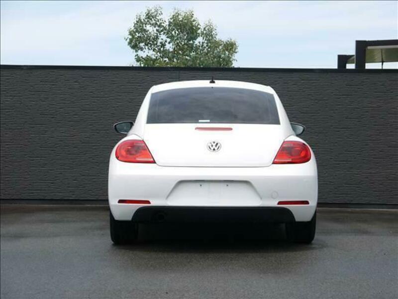 THE BEETLE