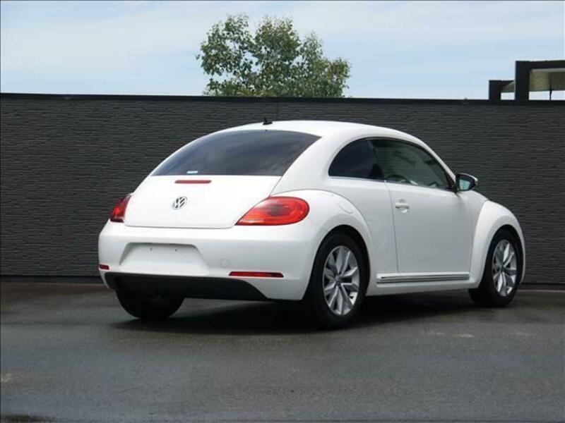 THE BEETLE