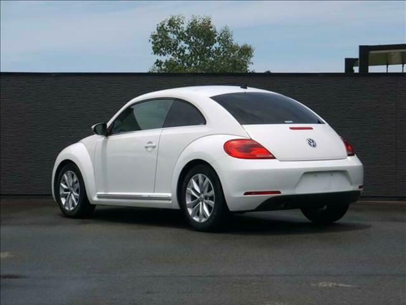 THE BEETLE