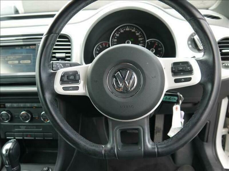 THE BEETLE