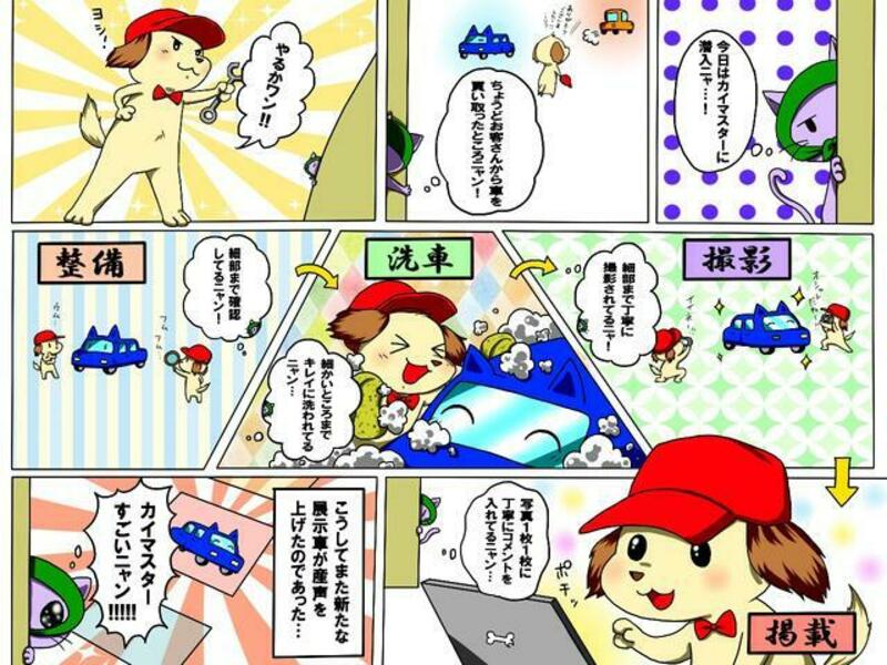 STREAM
