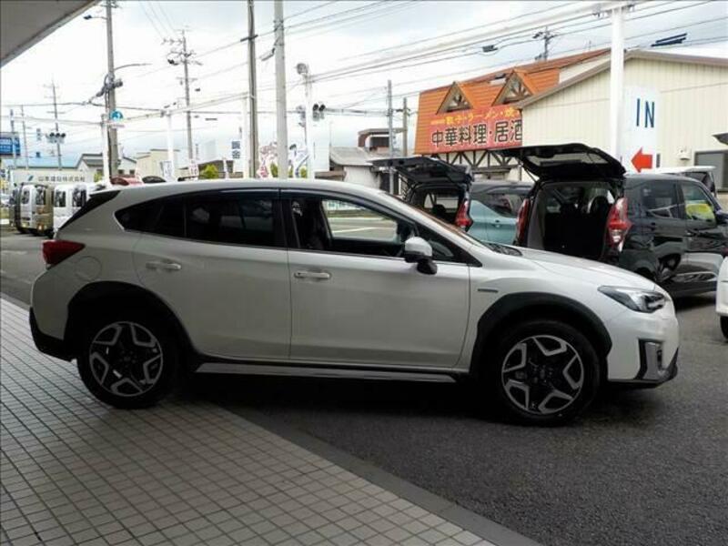 XV