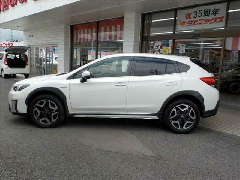 XV