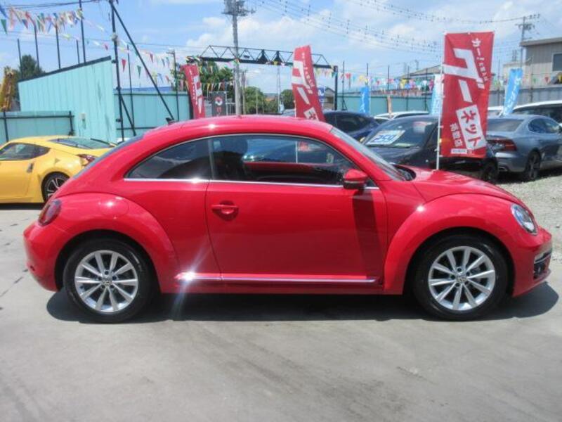 THE BEETLE