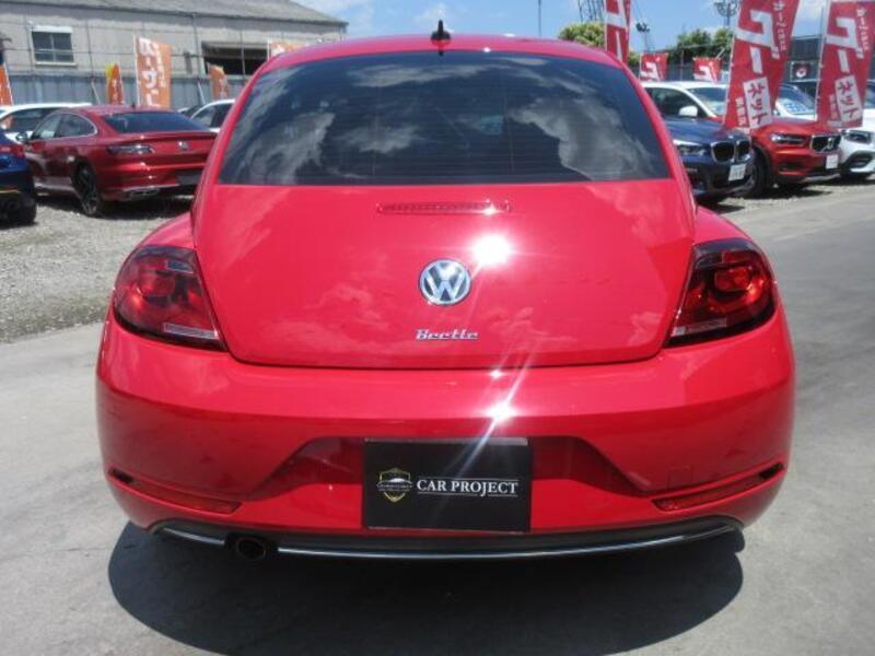 THE BEETLE