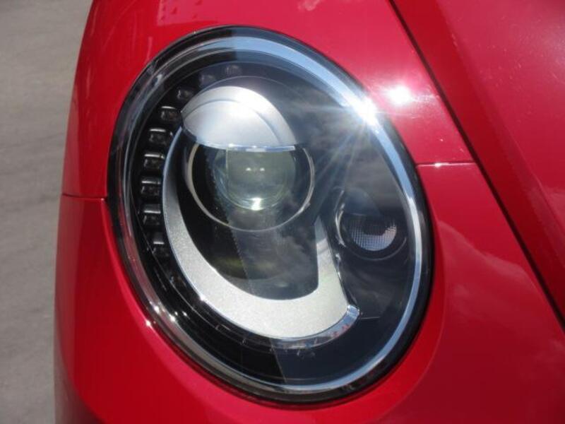 THE BEETLE