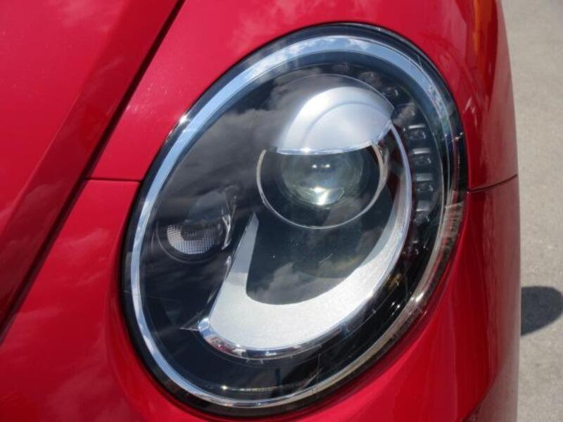 THE BEETLE