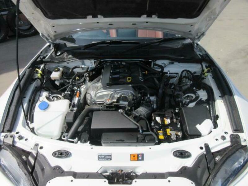 ROADSTER RF
