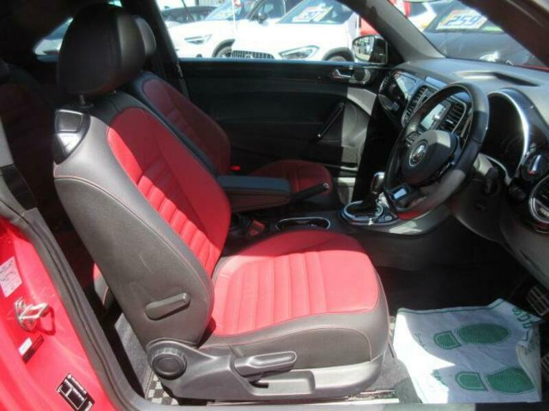 THE BEETLE