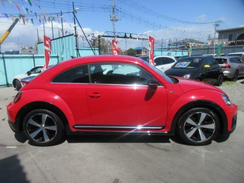 THE BEETLE