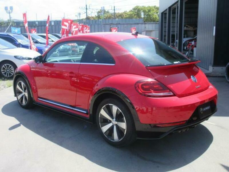 THE BEETLE