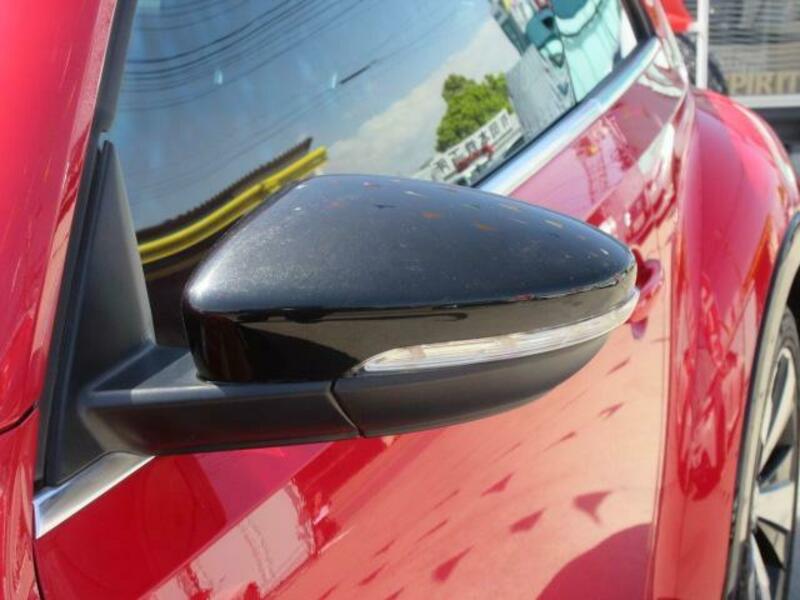 THE BEETLE