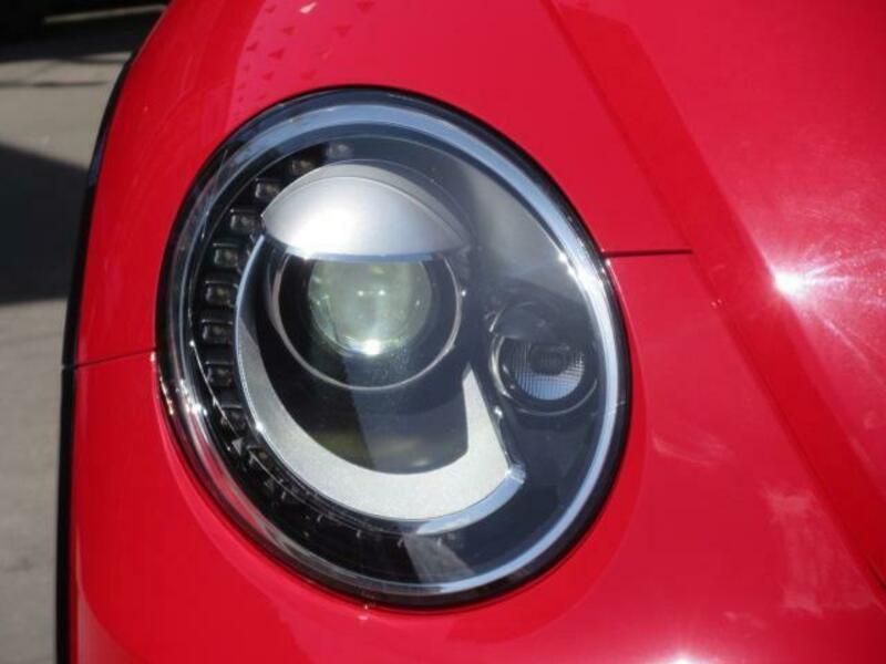 THE BEETLE