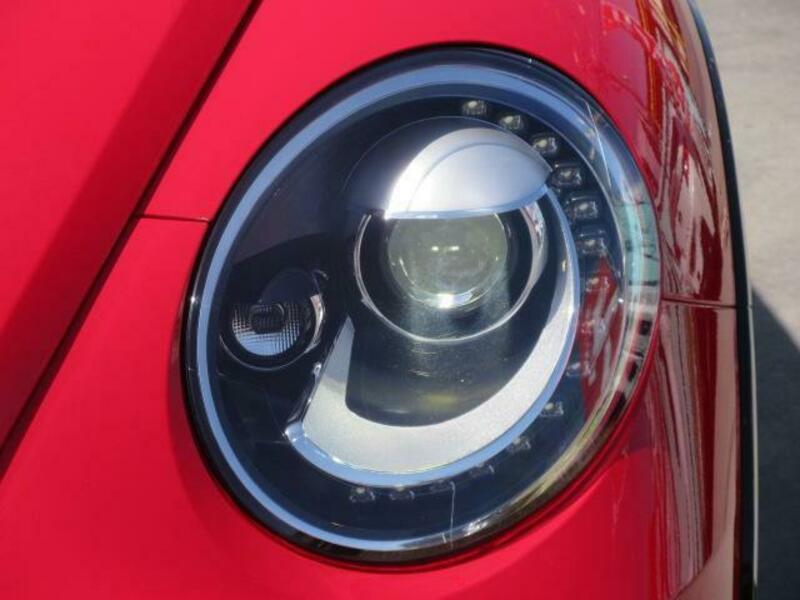 THE BEETLE