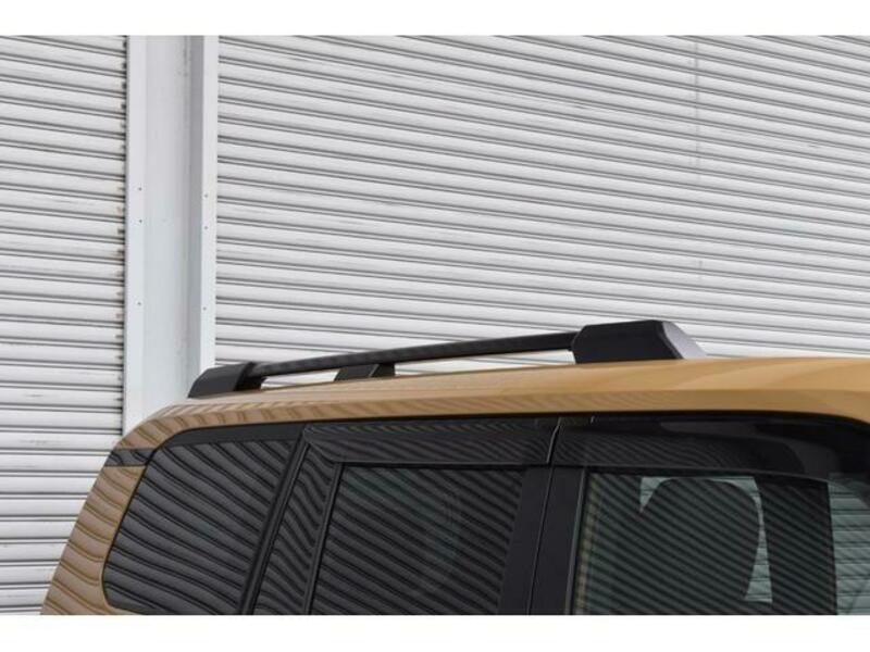 LAND CRUISER 250