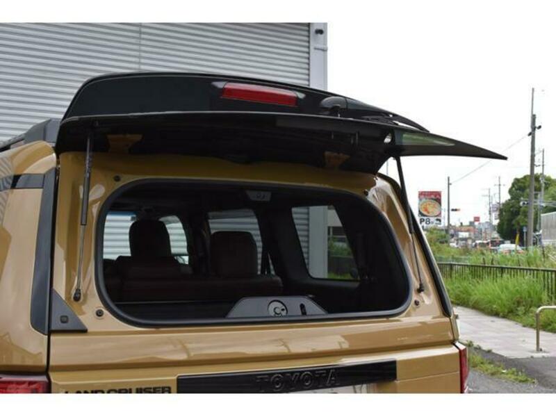 LAND CRUISER 250