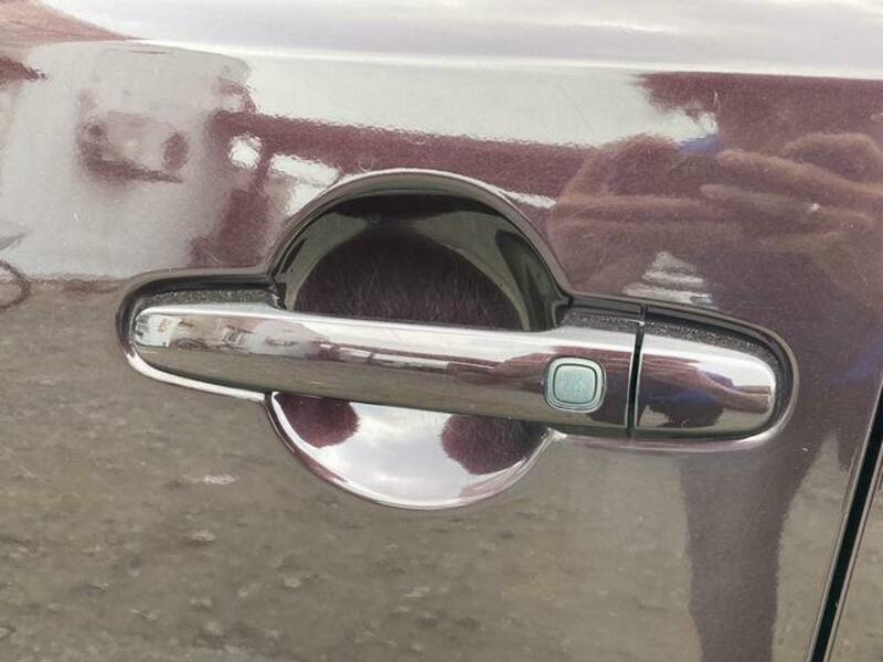 COROLLA RUMION