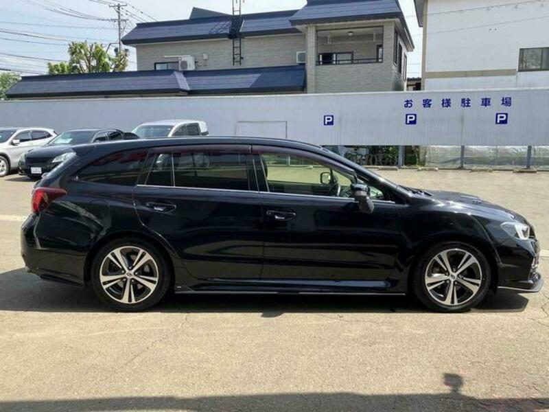 LEVORG